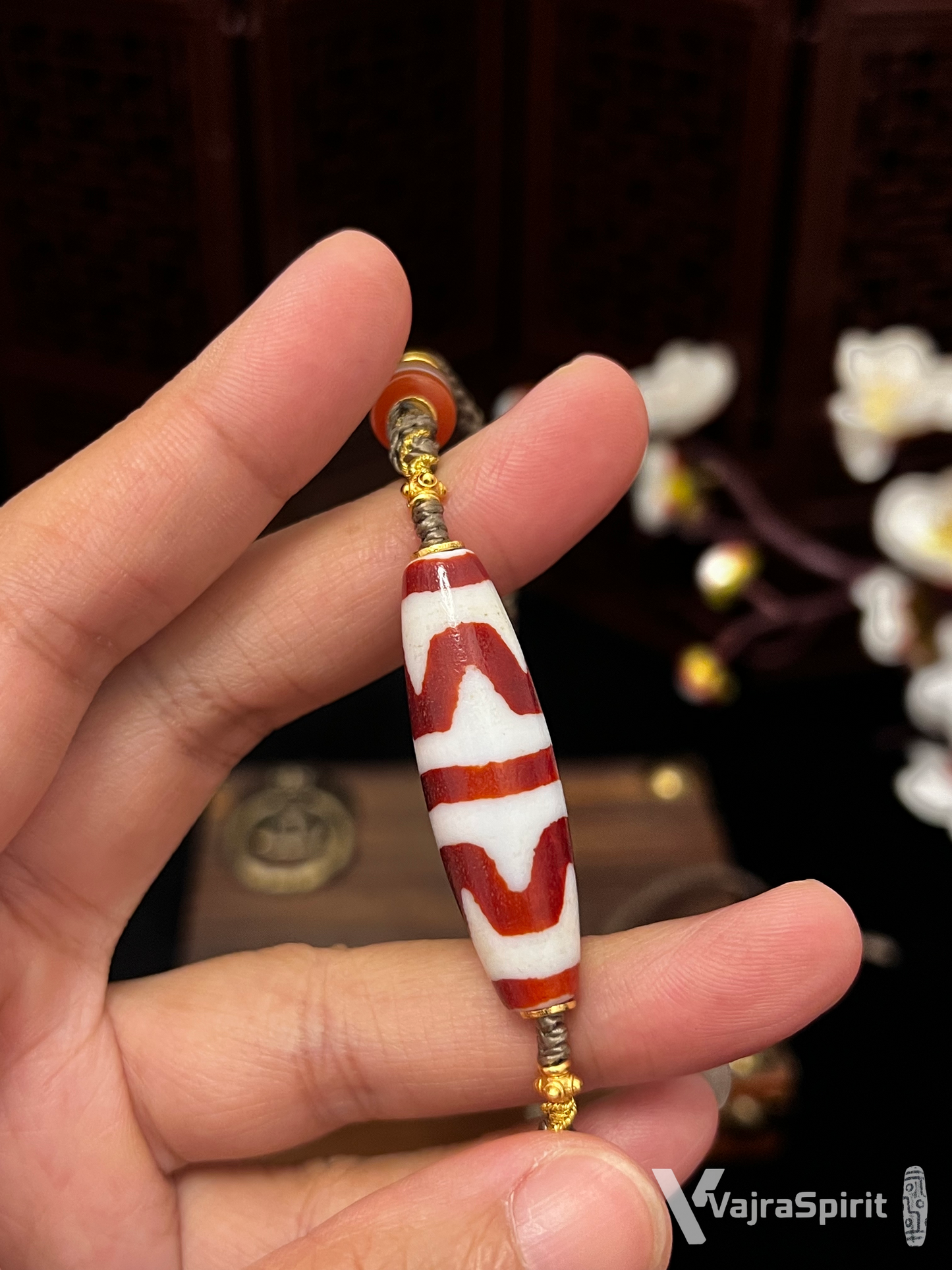 Red Meat Double Tiger Tooth Dzi Necklace
