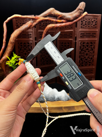 Dragon Six-Eyes Dzi Bead Necklace